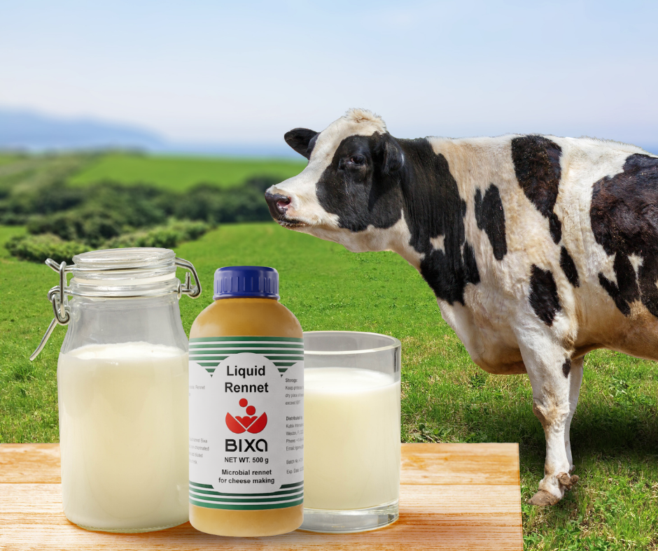 The Vegetarian Cheesemaking Essential: 5 Reasons to Choose Microbial Rennet